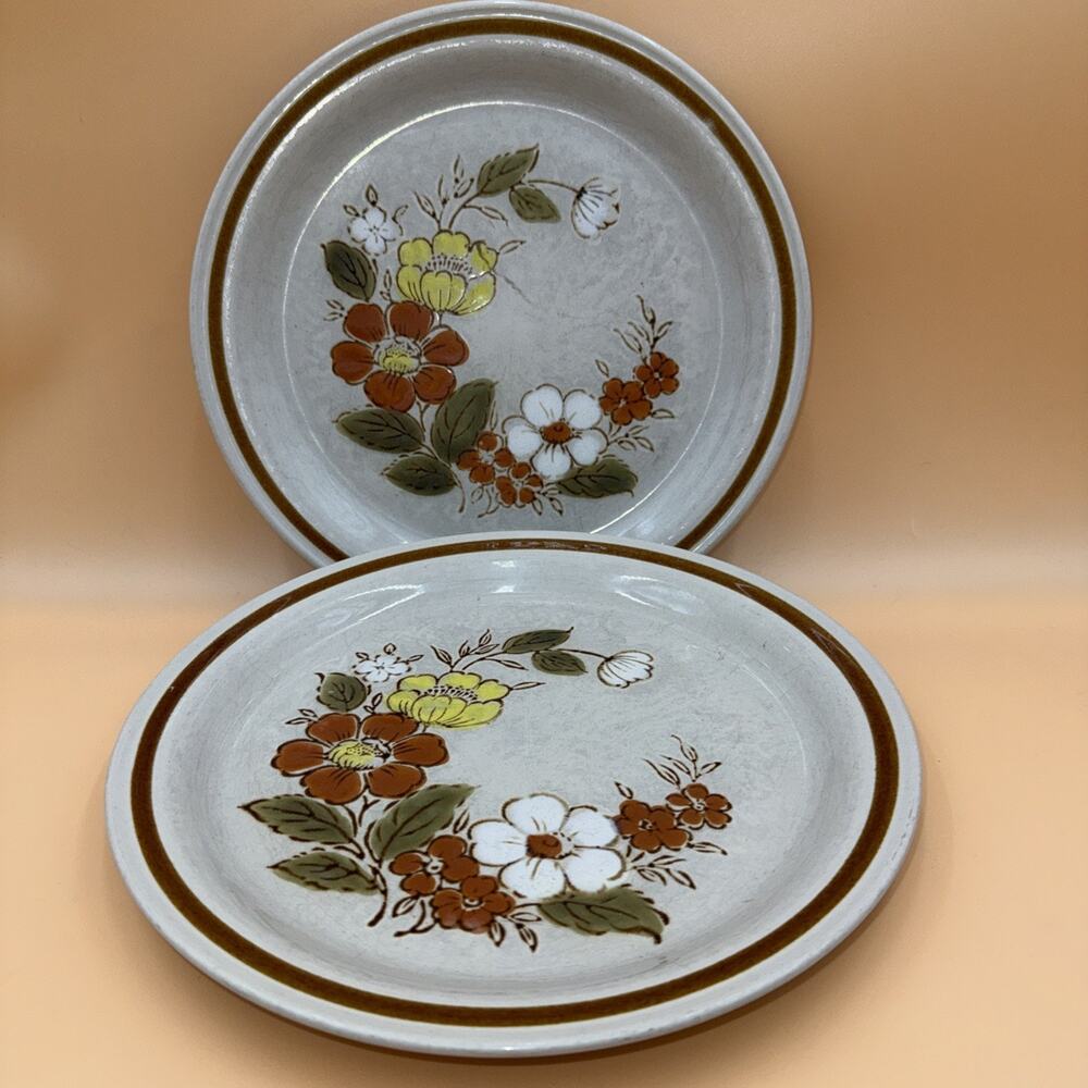2 Mountain Wood Collection Trellis Blossom Stoneware Dinner Plates Vintage Japan